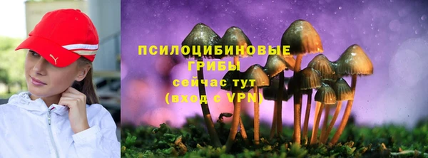 дурь Абаза