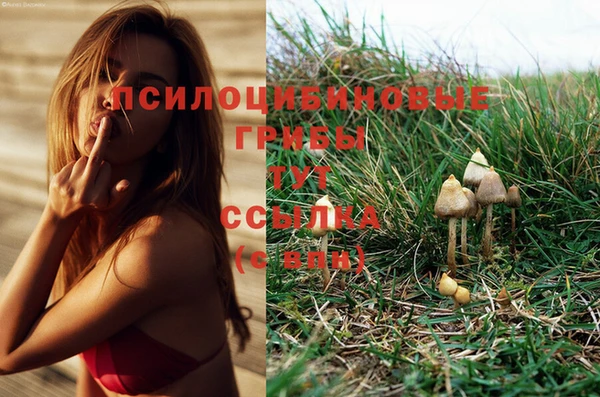 стафф Абинск