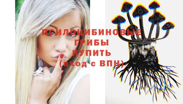 мяу мяу мука Абдулино