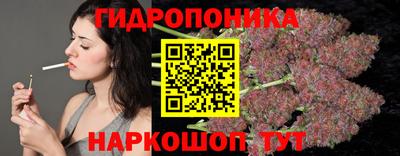 индика Пыть-Ях