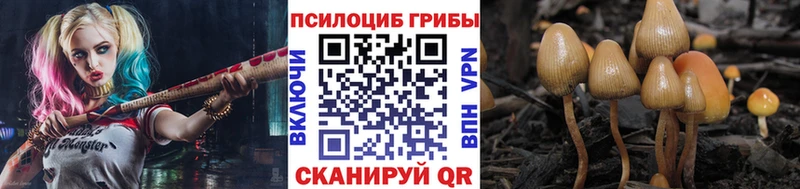 Псилоцибиновые грибы Psilocybine cubensis  Серпухов 