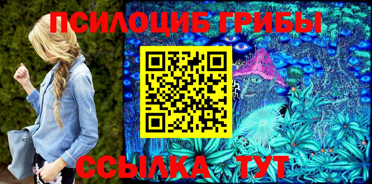 Галлюциногенные грибы Psilocybe Серпухов